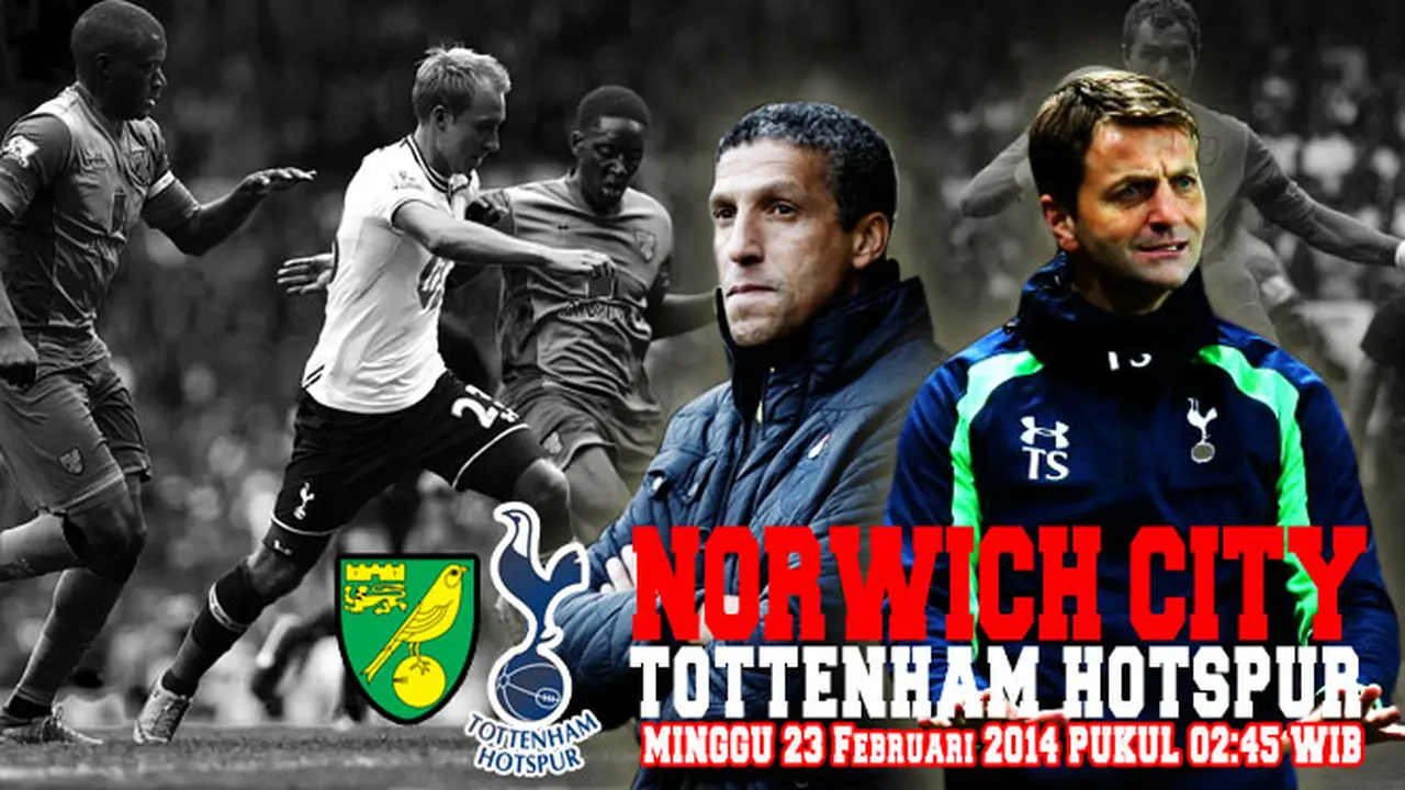 norwich-tottenham140221b.jpg