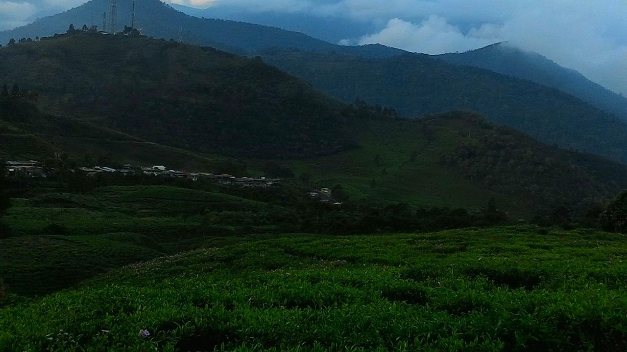 Pemandangan Gunung Gede Pangrango, di wilayah Bogor dan Sukabumi, Jawa Barat. (Liputan6.com/Achmad Sudarno)