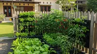 9 Ide Kebun Sayur Gantung di Rumah Kecil, Maksimalkan Lahan Sempit