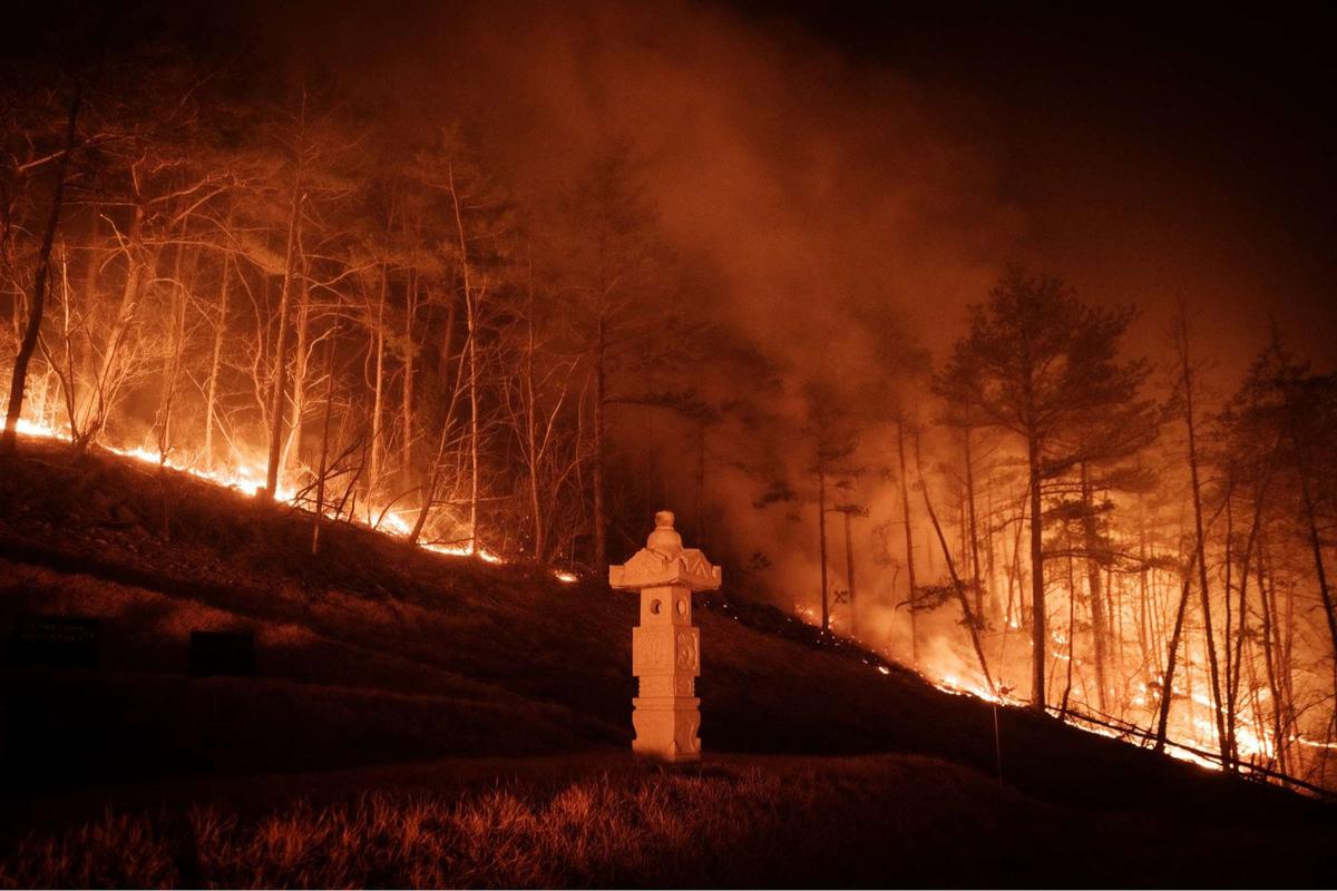 Kebakaran hutan Korea Selatan semakin ganas
