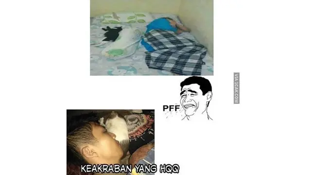 6 Potret Kompak Orang dan Kucing Saat Tidur Ini Bikin Gemas