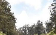 Beberapa Gunung di Indonesia ini Mitosnya Jadi Lokasi Pasar Setan