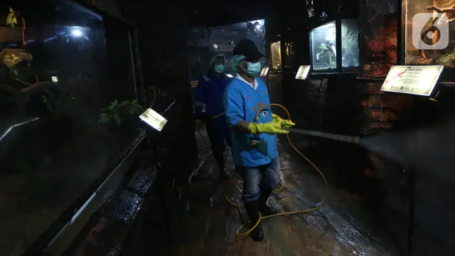 Aksi Petugas Semprotkan Disinfektan Cegah COVID-19 di TMII