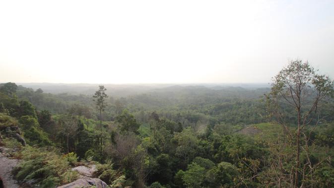 Kawasan Taman Hutan Rakyat (Tahura) Bukit Soeharto di Kutai Kartanegara (Kukar) Kaltim menjadi salah satu calon kuat ibu kota yang baru. (Liputan6.com/ Abelda Gunawan)