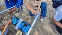 PNM Revitalisasi Terumbu Karang di Banyuwangi