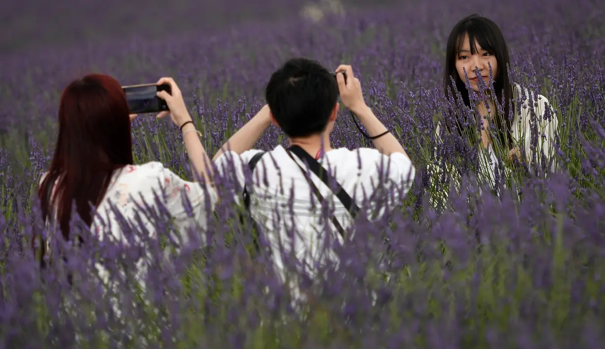 Wisatawan Asia berfoto ketika mereka berjalan melintasi ladang lavender di Valensole, sebelah tenggara Prancis pada 29 Juni 2019. Kebun lavender yang mekar mulai akhir Juni hingga Agustus ini adalah objek wisata yang populer bagi turis Asia. (Photo by GERARD JULIEN / AFP)