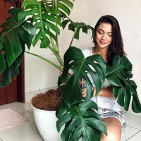 Memanfaatkan situasi, aktris cantik yang satu ini menghias kebun kecil di kontrakannya dengan menanam berbagai jenis tumbuhan.  (Instagram/angelagilsha)