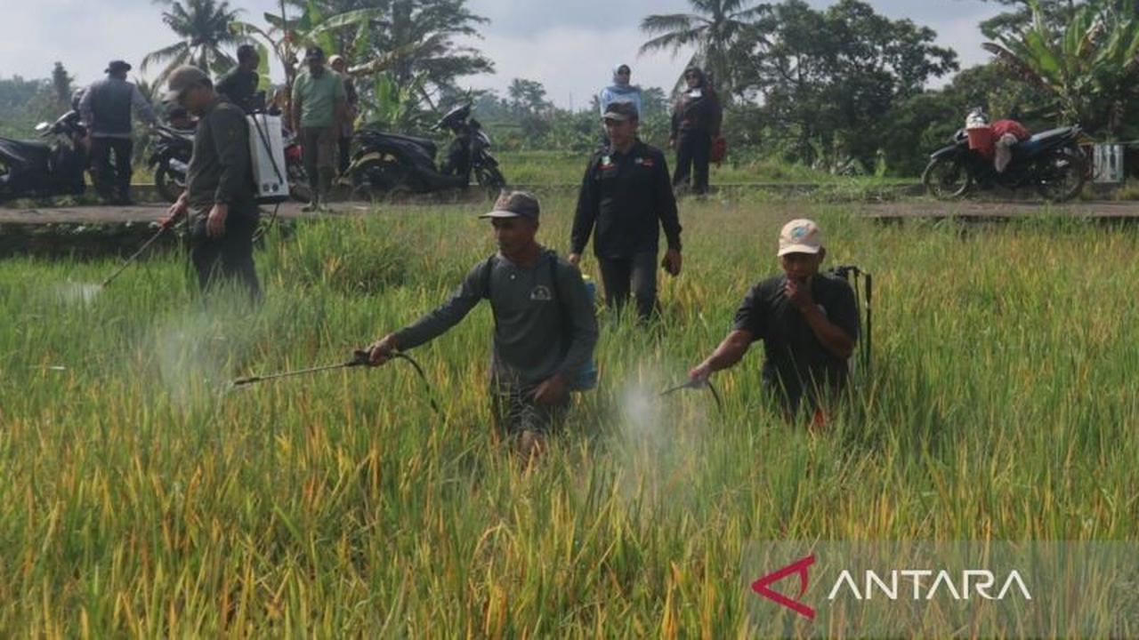 Pemkab Kuningan Alokasikan Rp76 Miliar untuk Ketahanan Pangan Desa, Dorong Kemandirian Ekonomi