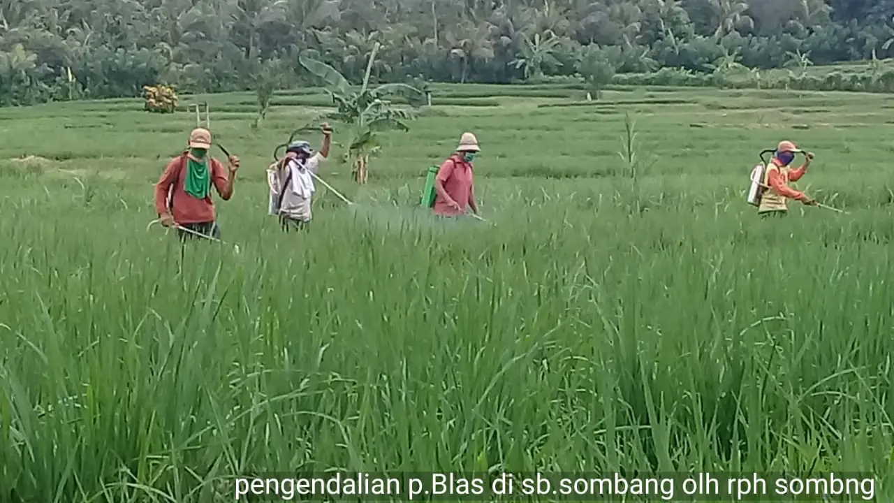 Kementan