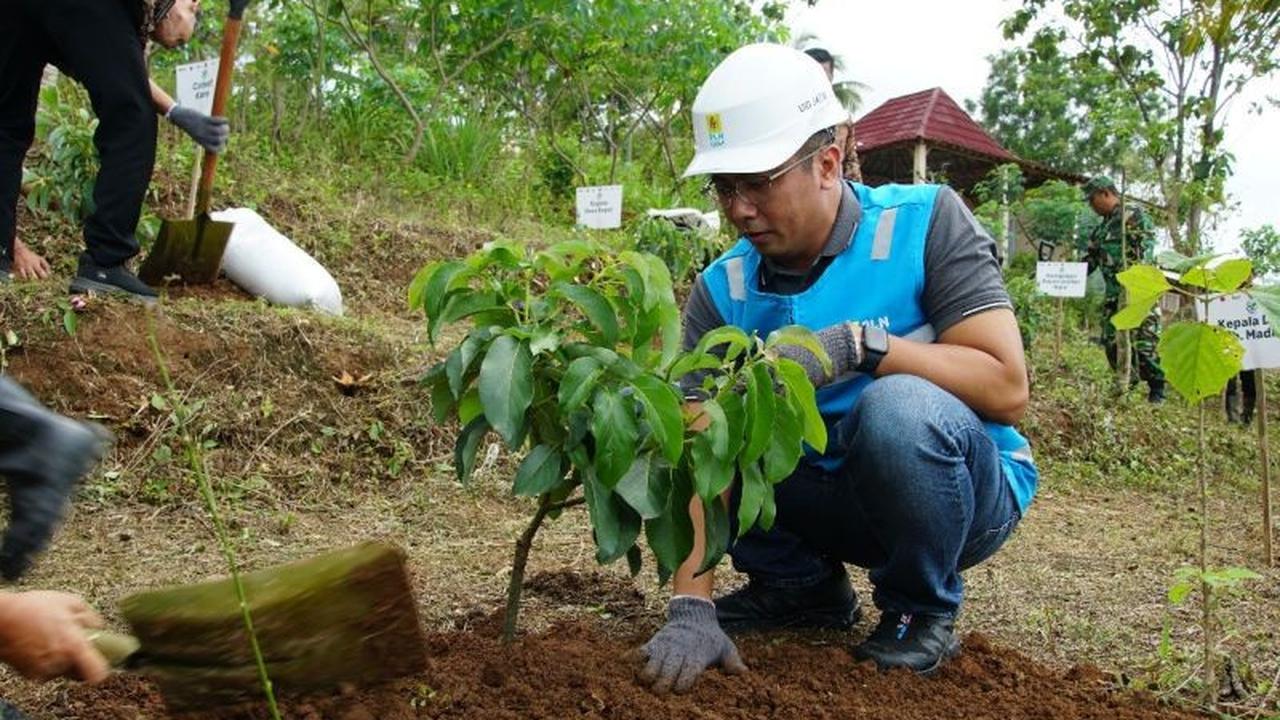 Peringati Hari Pahlawan, PLN Tanam Pohon di Berbagai Wilayah Jatim untuk Lingkungan Berkelanjutan