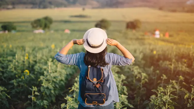 my trip story dan alam