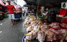Rincian Harga Ayam 1 Kilogram Terbaru April 2025, Ketahui Sebelum Berbelanja