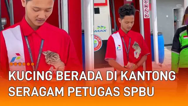 Aksi seorang petugas SPBU mengantongi seekor kucing menarik perhatian