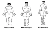 Kepribadian dari bentuk badan. (Dok: Jagranjosh.com)