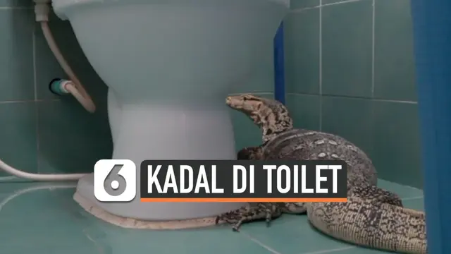 KADAL DI TOILET