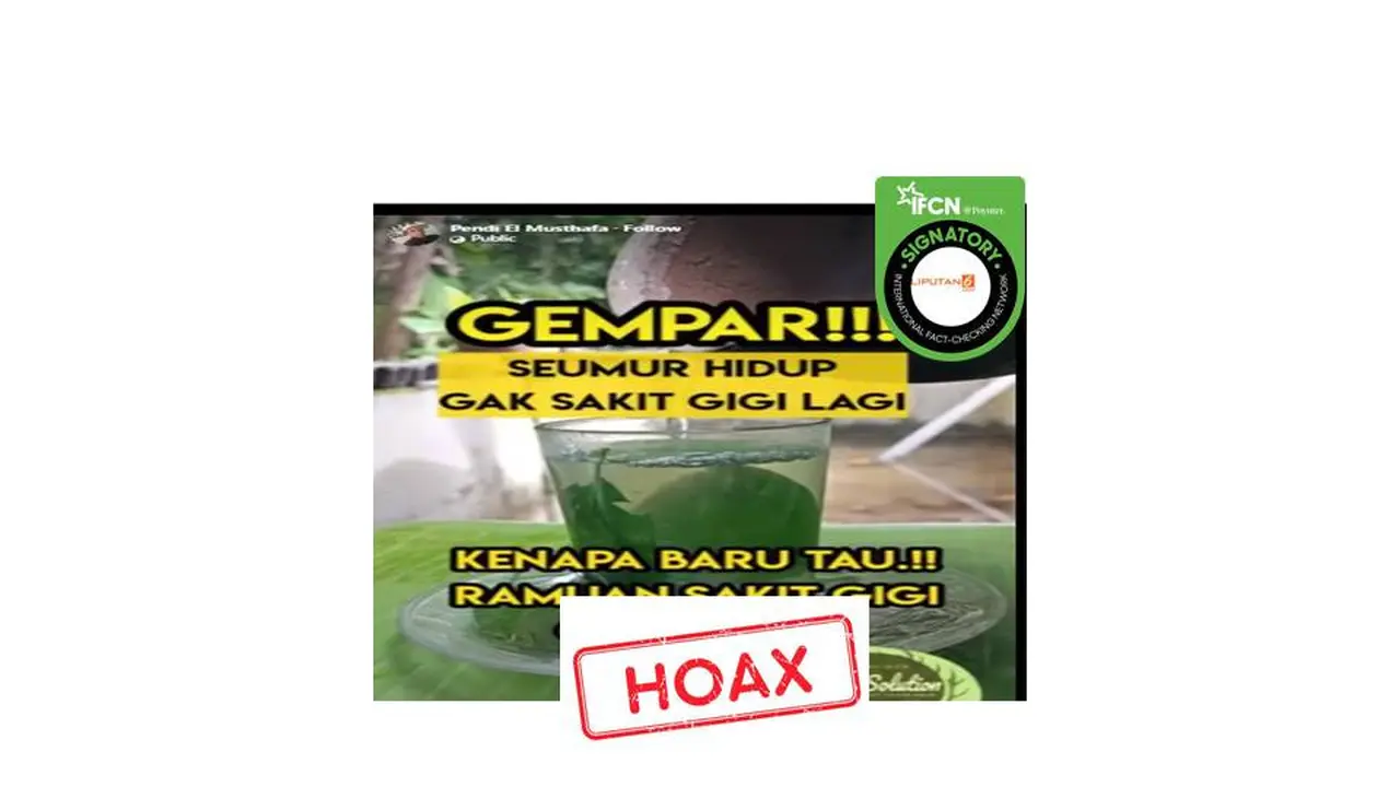 Cek fakta daun jeruk dan garam untuk obat sakit gigi