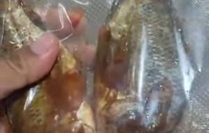 Penampakan menu ikan nila mentah dan berdarah di Program Makan Bergizi Gratis (MBG) di SMPN 1 Kota Sukabumi. (Liputan6.con/ Fira Syahrin)