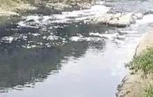 Sungai Cileungsi Menghitam, Bau sampai Ikan Mati, Bupati Bogor Diundang Susuri Aliran yang Tercemar