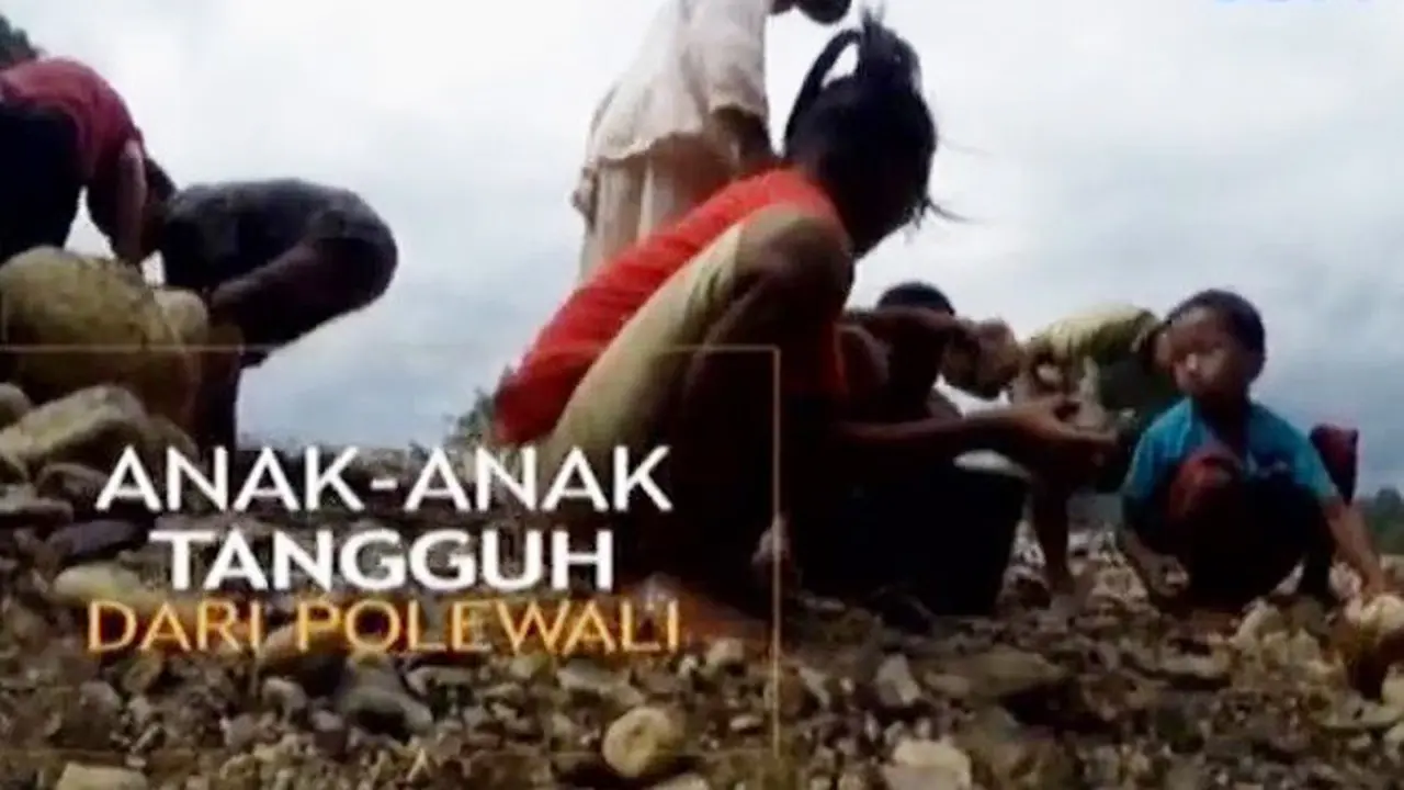 Anak-Anak Tangguh dari Polewali
