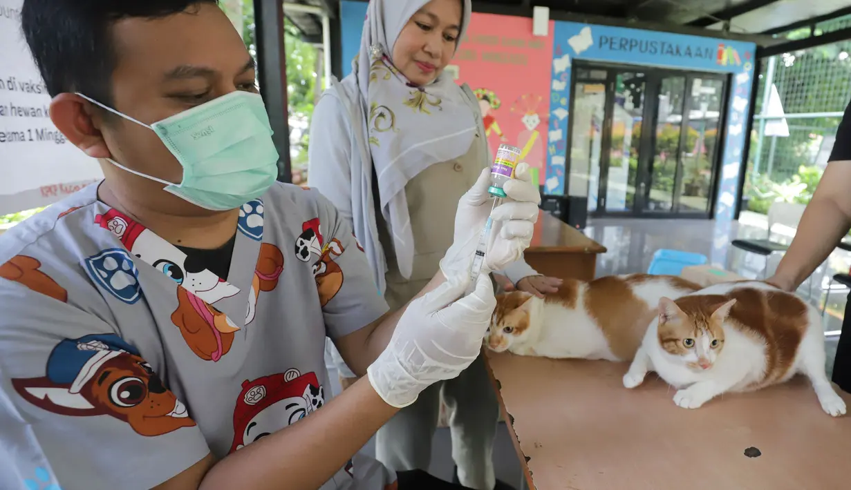 Seorang dokter hewan bersiap menyuntikkan vaksin rabies pada seekor kucing milik warga di Ruang Publik Terpadu Ramah Anak (RPTRA) Manggarai, Jakarta, Senin (14/10/2025). (merdeka.com/Arie Basuki)