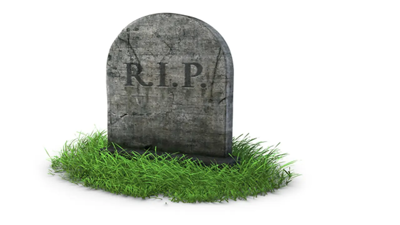 courtesy shutterstock