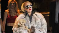 Duh! Lady Gaga Menghisap Ganja 15-20 Kali Sehari