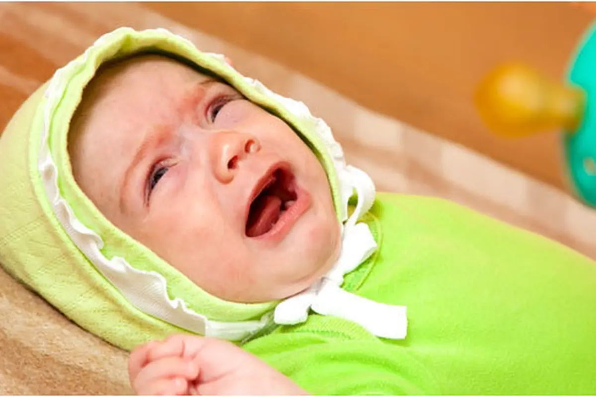 Courtesy ShutterStock.com