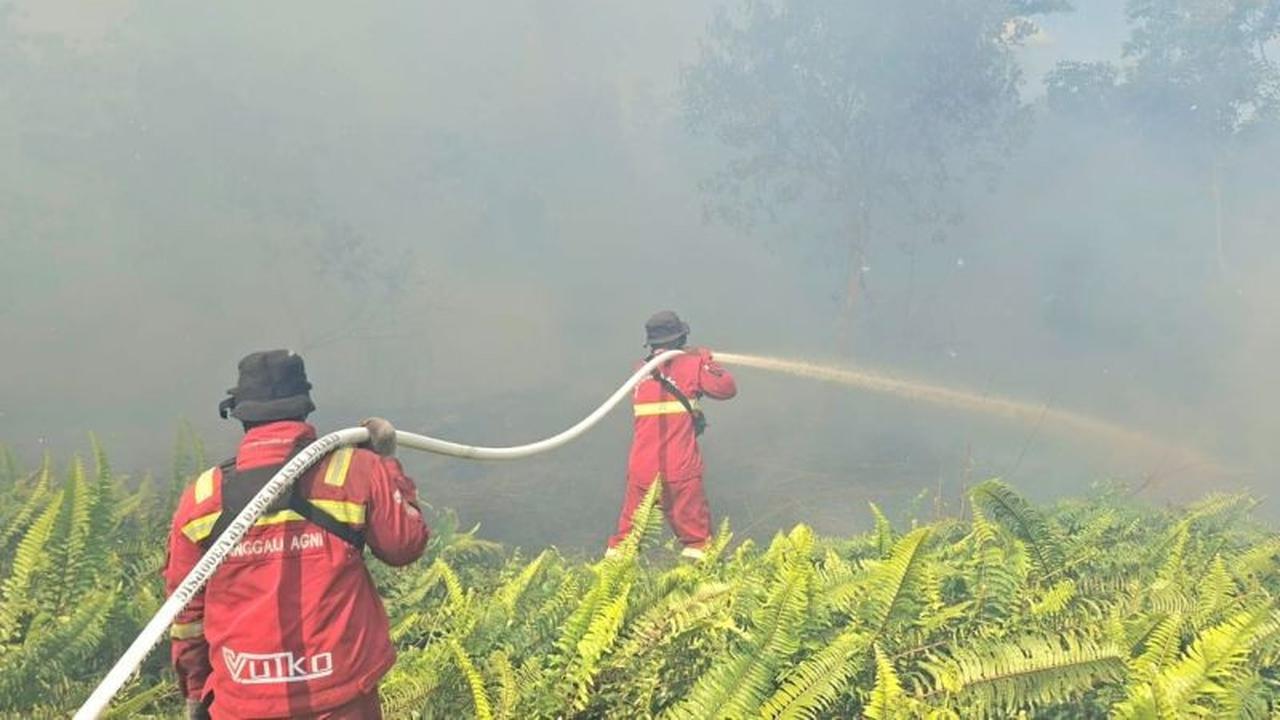 Manggala Agni Terus Berjibaku Padamkan Karhutla Riau di Area Kantong Harimau