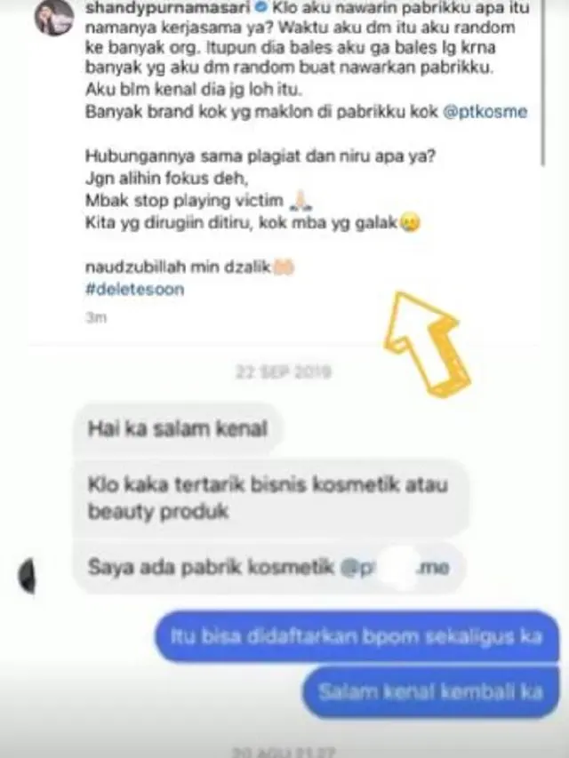 Shandy Purnamasari, pemilik MS Glow (Foto: Instagram/@shandypurnamasari)