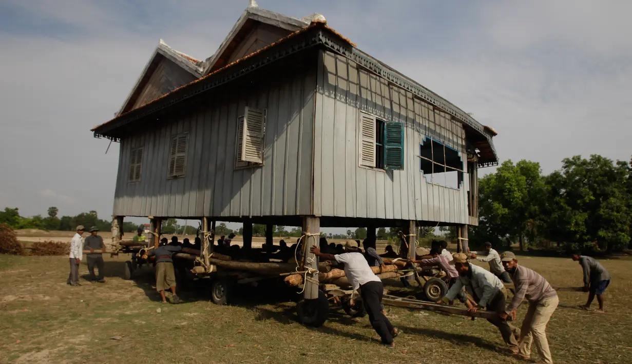 Warga bergotong royong memindahkan rumah di Desa Serey Andet di provinsi Kampong Speu, Kamboja (27/3). Pindah rumah dengan cara tradisional ini bagian dari budaya di Desa Serey Andet. (AP Photo/Heng Sinith)