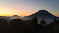 Desa Wisata di Dieng Pancing Turis Lewat Pertanian
