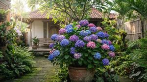 Cara Menanam Bunga Hydrangea untuk Pemula agar Cepat Berbunga dan Warnanya Cantik