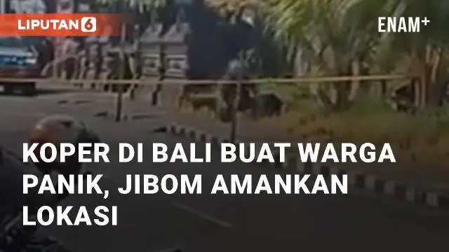 VIDEO: Koper Hitam di Badung Bali Buat Warga Panik, Tim Jibom Segera Amankan Lokasi