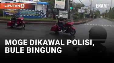 Lihat Moge Dikawal Polisi, Bule Ini Kebingungan