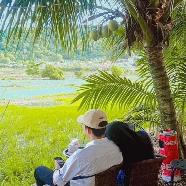 Daya Tarik Cafe Tepi Sawah Serang Banten