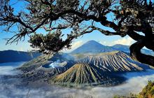 Mengenal Embun Upas, Fenomena yang Kembali Muncul di Wisata Gunung Bromo