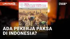 Departemen Tenaga Kerja AS memasukkan nikel Indonesia ke dalam daftar komoditas yang dipercaya melibatkan pekerja paksa dan/atau pekerja anak (TVPRA). Lantas bagaimana nasib kesepakatan dagang nikel yang tengah diperjuangkan Indonesia?