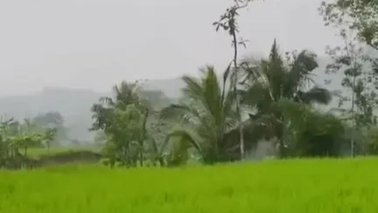 Gerakan Percepatan Tanam Padi dan Jagung, KTNA: Petani Siap Ambil Andil