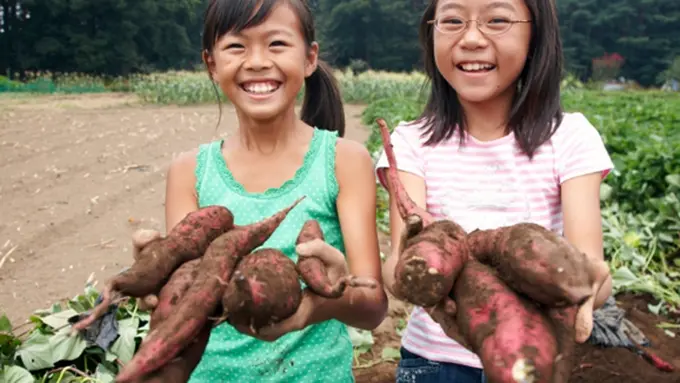 Foto: Copyright ThinkStockPhotos.com