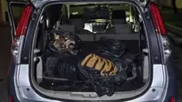 Harimau Malaya Ditemukan Mati di Mobil Pemburu, Netizen Malaysia Geram