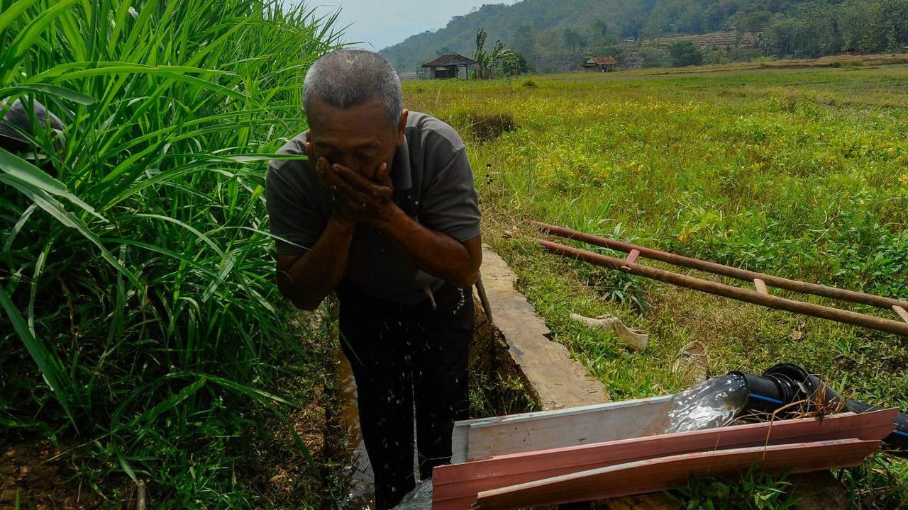 Seorang petani membersihkan wajah dengan air yang dipompa dari sungai saat mengairi lahan pertaniannya di Cikaduwetan Kabupaten Kuningan, Jawa Barat , Rabu (23/08/2023).