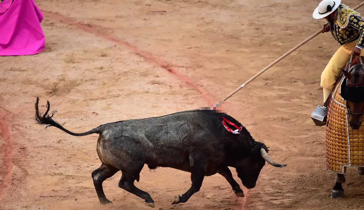 Seorang matador menusukkan tombaknya ke seekor banteng dalam saat bertarung dalam Festival San Fermin, Pamplona, Spanyol, Selasa (9/7/2019). (AP Photo/Alvaro Barrientos)