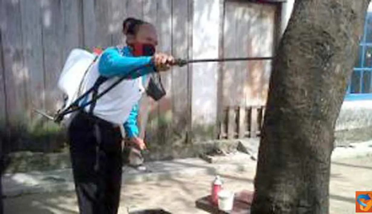 Citizen6, Jambi: Petugas menyemprotkan disinfectant kepohon yang terdapat ulat bulu, kini mewabah di Desa Pematang Lumut Kecamatan Betara Kabupaten Tanjung Jabung Barat. (Pengirim: Alfatih Aulia)
