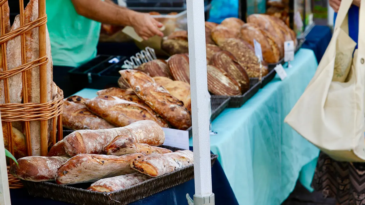 Inovasi Lebih Ramah Lingkungan untuk Penjepit Bungkus Roti Berbahan Plastik
