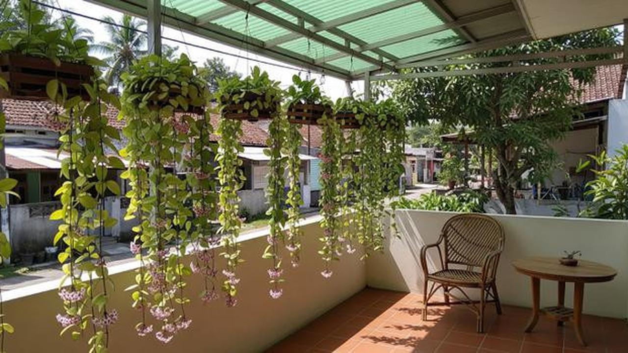 15 Tanaman Gantung untuk Teras Sempit yang Awet Meski Jarang Disiram, Percantik Halaman Rumah