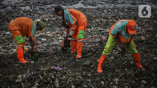 Ironi Hari Laut Sedunia, Sampah Plastik Penuhi Pesisir Utara Kota Jakarta