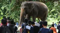 Ragunan Masih Jadi Primadona Liburan Tahun Baru 2018