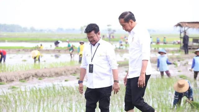 Genjot Ketersediaan Beras Nasional, Presiden Jokowi Didampingi Mentan SYL  Lakukan Percepatan Tanam Padi di Tuban