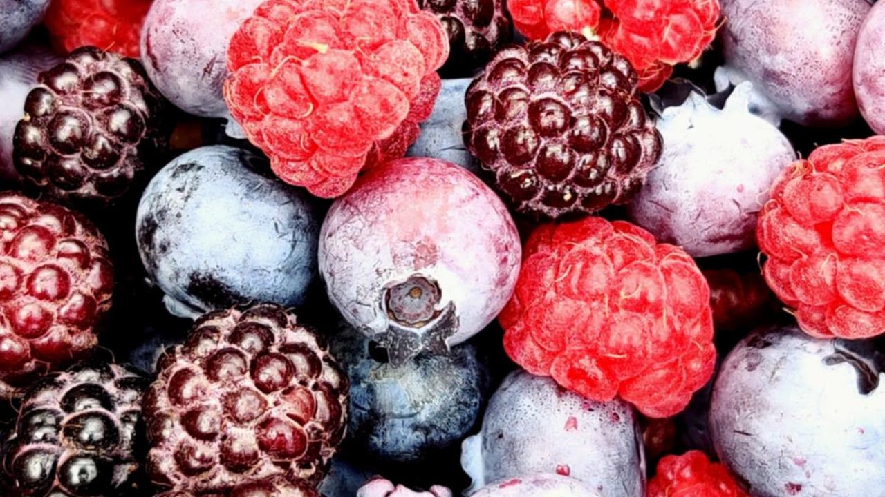 <b>1. Buah Beri</b>