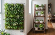 Vertical Garden atau Pot Bertingkat, Mana yang Lebih Cocok untuk Lahan Sempit?
